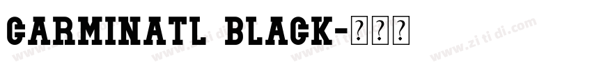 CarminaTL Black字体转换